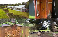 Book Kongwak Accommodation Vacations Hotel Gold Coast Hotel Gold Coast