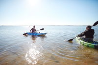 Book Lake Boga Accommodation Vacations Hotel Gold Coast Hotel Gold Coast