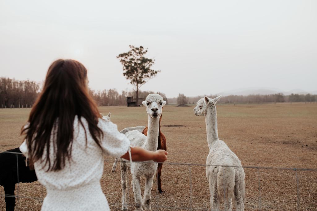 Darawank NSW Hotel Gold Coast