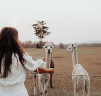 Laurina Estate - Hotel Gold Coast