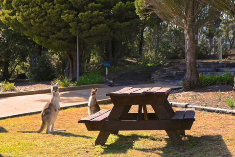 Leura Lodge At Mt Victoria - Hotel Gold Coast 2