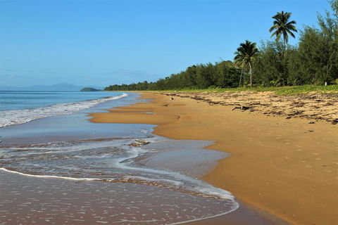 Licuala Lodge - Hotel Gold Coast 1