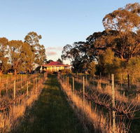 Lillicur Vineyard BB - Hotel Gold Coast