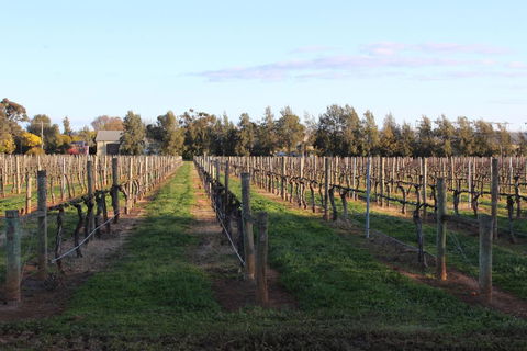 Milawa Vineyard Views - Guesthouse 1 - Hotel Gold Coast 1