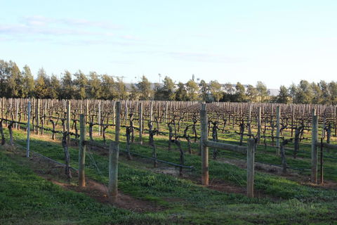 Milawa Vineyard Views - Guesthouse 2 - Hotel Gold Coast 0