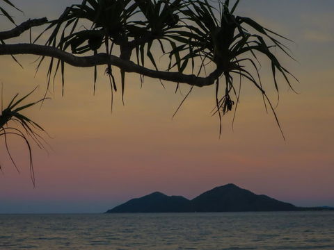 Mission Beach Hideaway Holiday Village - Hotel Gold Coast 1