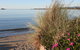Moomba Holiday And Caravan Park - thumb 2
