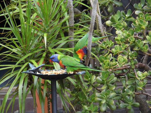 Nanango Fitzroy Motel - Hotel Gold Coast 2