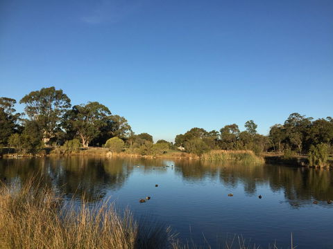 Lakeside Views - Hotel Gold Coast 18