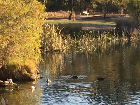 Lakeside Views - Hotel Gold Coast 15