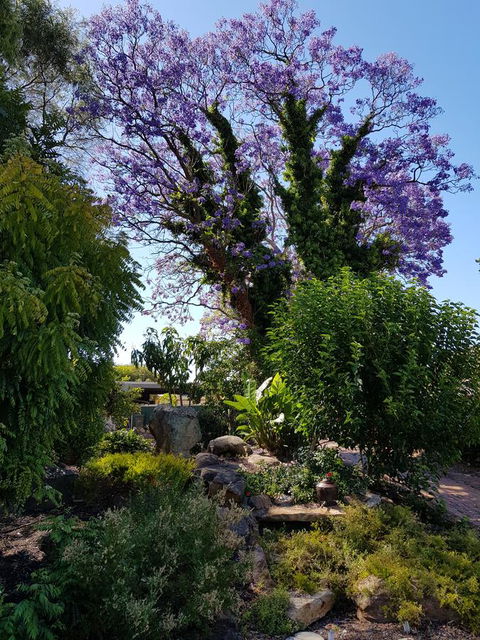Jacaranda Hideaway Bed & Breakfast - Hotel Gold Coast 10
