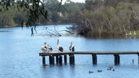 Jacaranda Hideaway Bed & Breakfast - Hotel Gold Coast 18