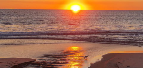 Seashore Memories - Sleeps 3 - Hotel Gold Coast 25