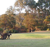 Riverside Retreat Chalets Walpole - Hotel Gold Coast