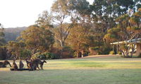 Book Walpole Accommodation Vacations Hotel Gold Coast Hotel Gold Coast