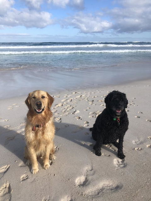 The Bothy Lancelin Family Retreat - Hotel Gold Coast 32
