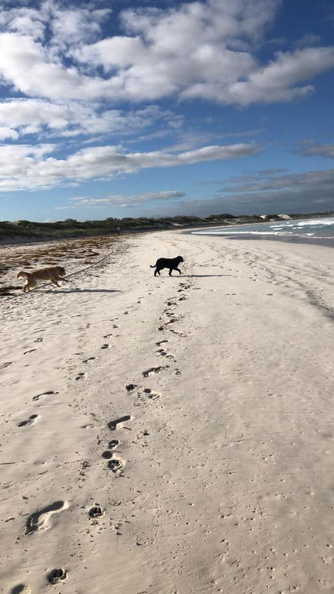 The Bothy Lancelin Family Retreat - Hotel Gold Coast 30