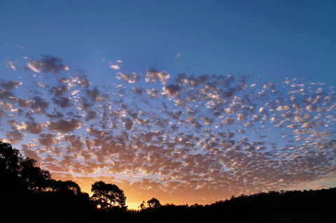 Bridgetown Valley Lodge - Hotel Gold Coast 6