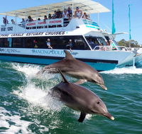 Belvedere Caravan Park - Hotel Gold Coast