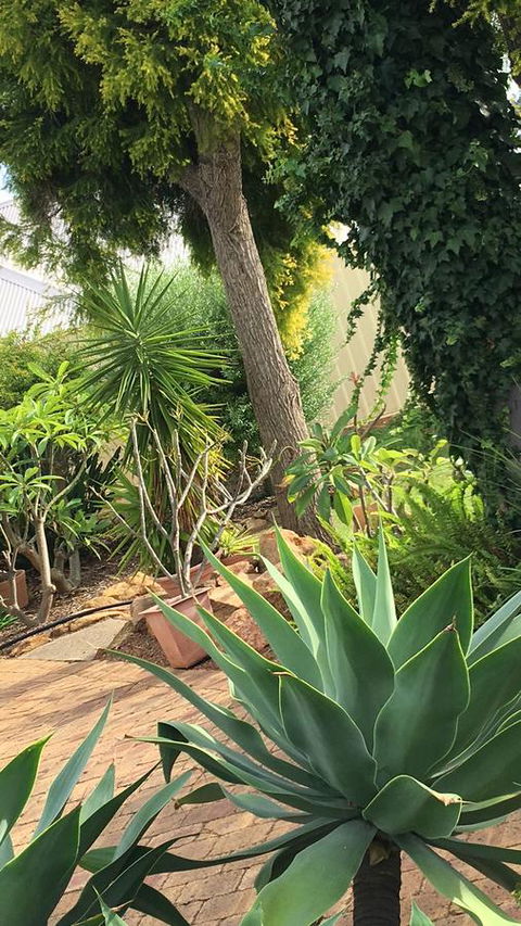 Armadale Cottage Bed & Breakfast - Hotel Gold Coast 1