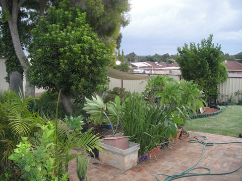 Armadale Cottage Bed & Breakfast - Hotel Gold Coast 39