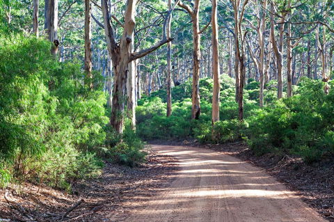 Margaret River Retreat - Hotel Gold Coast 20