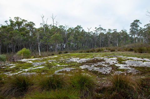 Denmark Forest Retreat - Hotel Gold Coast 26