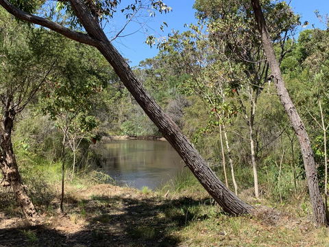 Denmark Forest Retreat - Hotel Gold Coast 32