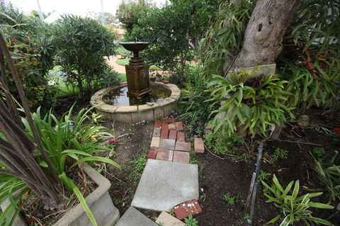 Jacaranda Guest House - Hotel Gold Coast 32