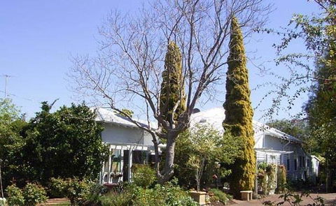 Jacaranda Guest House - Hotel Gold Coast 37
