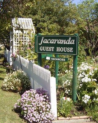 Jacaranda Guest House - Hotel Gold Coast 43