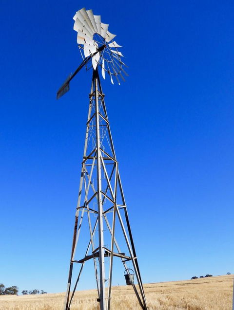 Daisy Cottage - Hotel Gold Coast 3