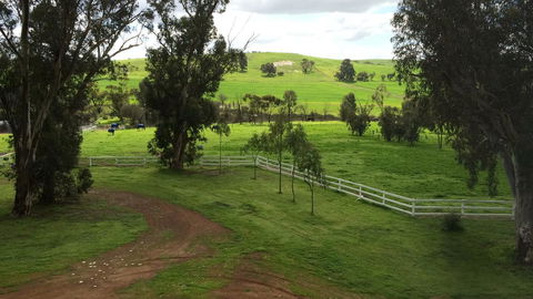 Daisy Cottage - Hotel Gold Coast 22