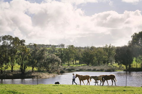 Daisy Cottage - Hotel Gold Coast 28