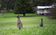 Sienna Lodge - thumb 14