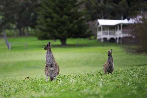 Sienna Lodge - Hotel Gold Coast 14