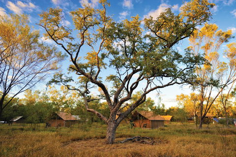 Bungle Bungle Wilderness Lodge - Hotel Gold Coast 11