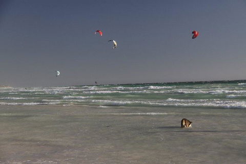 Dongara Tourist Park - Hotel Gold Coast 33