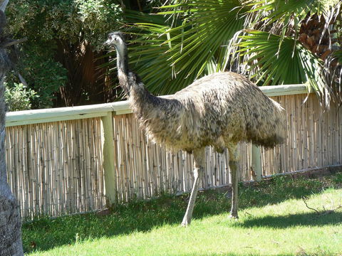 Wildsights Villas - Hotel Gold Coast 29