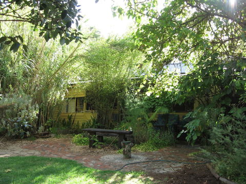 Black Cockatoo Lodge - Hotel Gold Coast 24