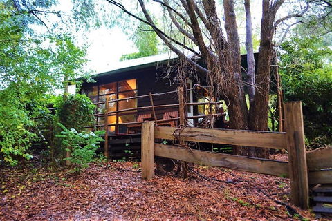 Black Cockatoo Lodge - Hotel Gold Coast 4
