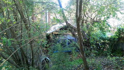 Black Cockatoo Lodge - Hotel Gold Coast 22