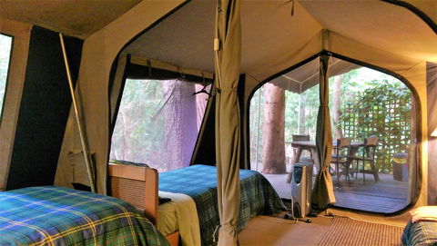 Black Cockatoo Lodge - Hotel Gold Coast 18