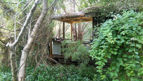 Black Cockatoo Lodge - Hotel Gold Coast 6