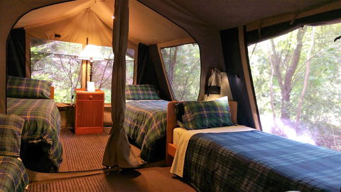 Black Cockatoo Lodge - Hotel Gold Coast 17