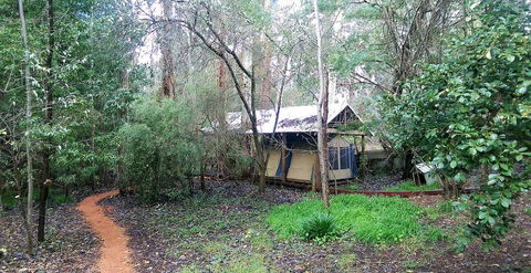 Black Cockatoo Lodge - Hotel Gold Coast 10