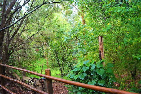 Black Cockatoo Lodge - Hotel Gold Coast 28