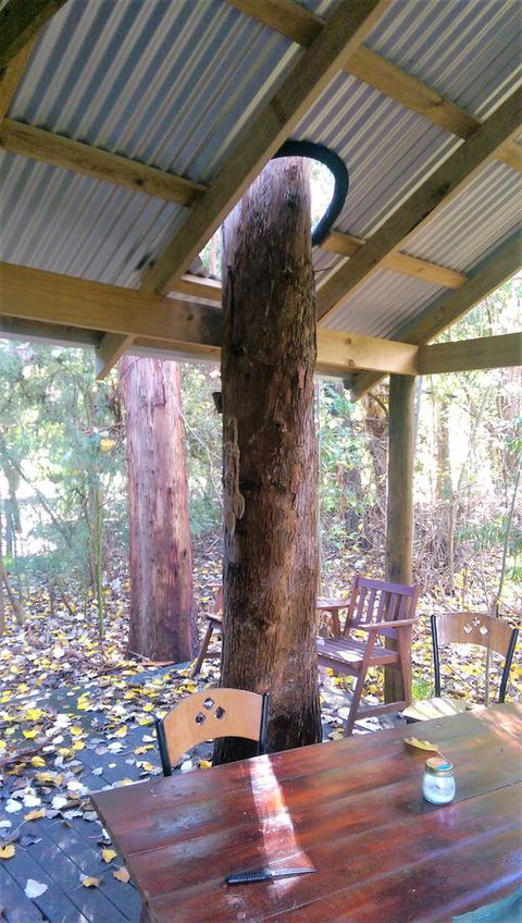 Black Cockatoo Lodge - Hotel Gold Coast 19