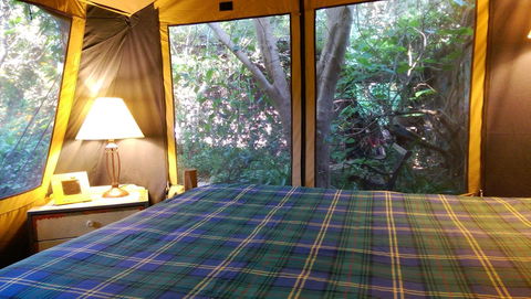 Black Cockatoo Lodge - Hotel Gold Coast 16
