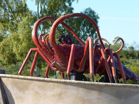 Leander Reef Holiday Park - Hotel Gold Coast 4
